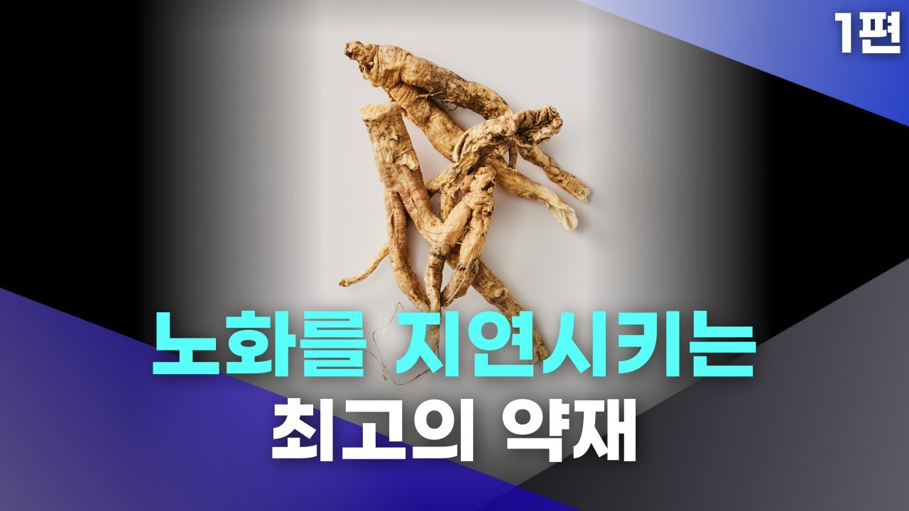 노화를 지연시키는 최고의 약재(진액을 보충해주는 약재 '사삼' 1편) - YouTube