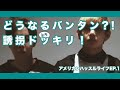 【日本語字幕】アメリカンハッスルライフ 誘拐ドッキリ【BTS(防弾少年団)】