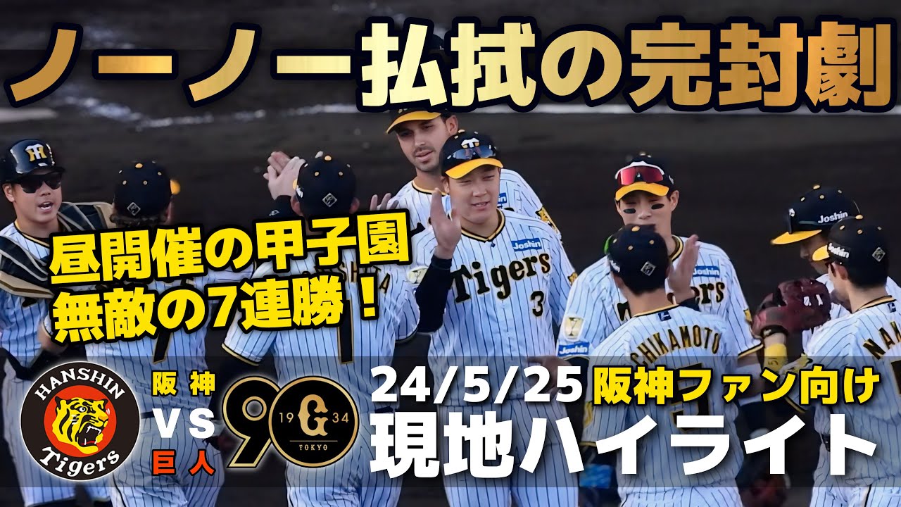 【甲子園】7/19(金)阪神タイガースvs広島2枚連番 甲子園】7/19(金)阪神タイガースvs広島2枚連番
