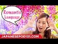 Learn Romantic Language in Japanese with Risa!