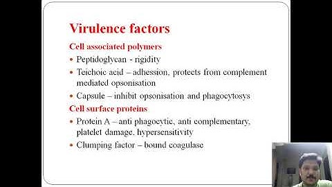 ckv staphylococcus aureus part2