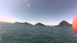 Cruising in Resurrection Bay Seward Alaska