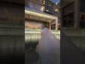 New 2025 Dubai Dubailife Videoshort Shorts Youtube Youtubeshorts Youtubechannel My Day New 2025 Dubai Dubailife Videoshort Shorts Youtube Youtubeshorts Youtubechannel My Day