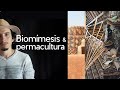 Biomímesis y permacultura