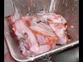 HYTT visafval – fish waste – Fischabfall – residuos de pescado (HYTT vacuum system)