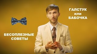 #6 |Бабочка и Галстук | WEDBlog | БеспоЛезные Советы #6 |Бабочка и Галстук | WEDBlog | БеспоЛезные Советы