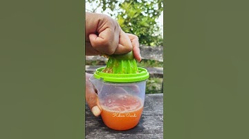 Thumbnail of seger banget es jeruk airnya dari jeruk asli panenan sendiri #berkebun #resepminuman #healthydrink