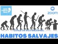 HÁBITOS SALVAJES: Estilo de vida ancestral 🦍 🐒 (vídeo conferencia zoom)