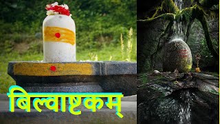 Bilvashtakam #bilvashtakam #shivamantra #shiv bilvashtakam in Hindi