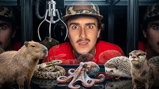I Bought a Live Animal Claw Machine!  screenshot 2