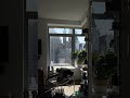 morning light dayinmylife nyc Lifestyle interiordesign... #Shorts #tobylny