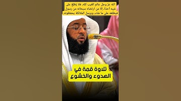 عالم الغيب فلا يظهر على غيبه أحدا || تلاوة قمة في الهدوء والخشوع للشيخ بدر التركي من صلاة الفجر