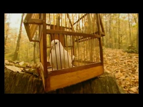 Adem Aslandoğan - Aşkın Elinden (Official Video)