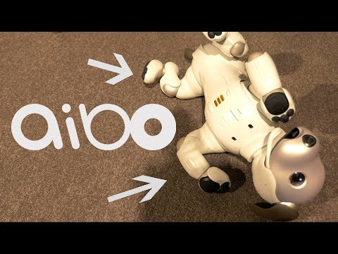 Video: Cât costă Aibo câinele robot?