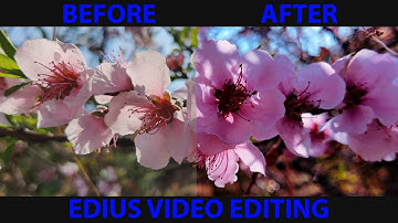 Color Correction in Edius using Photoshop Color Lookup Tables. Cinematic Look. Video Editing