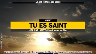 Vignette de la vidéo "TU ES SAINT - Corinne Lafitte – Chant chrétien"