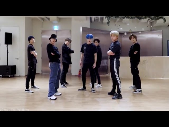 [NCT U - 90's Love] dance practice mirrored