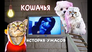 видео: КОШАЧЬЯ ИСТОРИЯ УЖАСОВ | НЕ ОСТАВЛЯЙ КЛЮЧИ СОСЕДЯМ | Кевин, Билли, Ариела и Сладун одни дома НОЧЬЮ картинка: КОШАЧЬЯ ИСТОРИЯ УЖАСОВ | НЕ ОСТАВЛЯЙ КЛЮЧИ СОСЕДЯМ | Кевин, Билли, Ариела и Сладун одни дома НОЧЬЮ