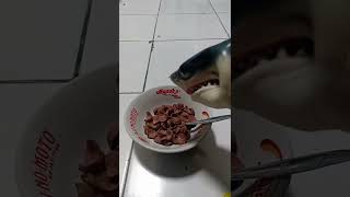 Sharky eats cereal in the afternoon. (Cure from Lactose Intolerance)