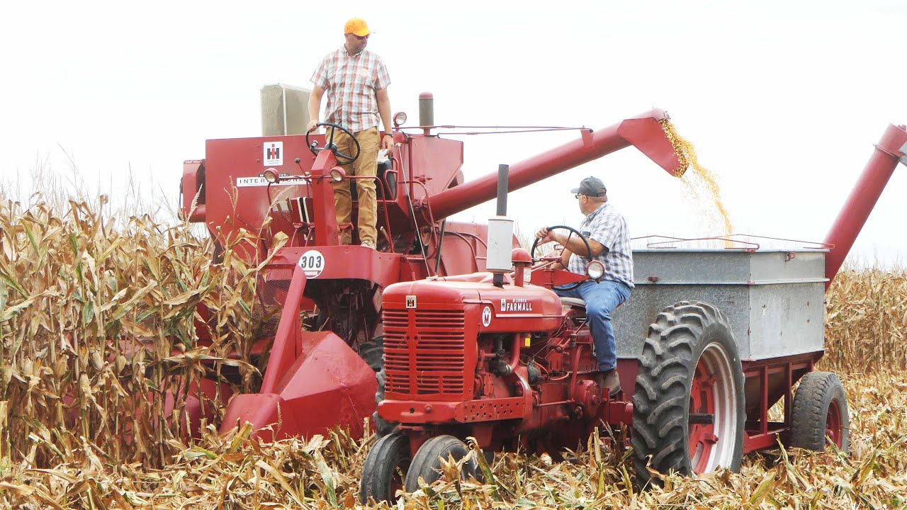 Vintage Combines Harvesting Corn at Half Century of Progress Show 2025 | Great Action