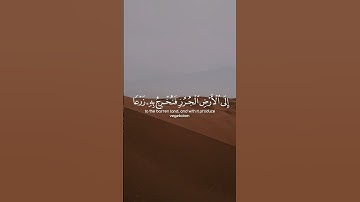 الاية 27 من سورة(السجدة)/شاشة سوداء #القرآن الكريم