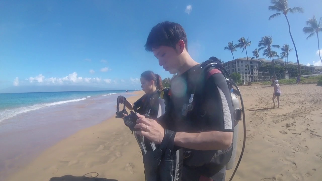 マウイ島 でスペシャルな体験ダイビング Youtube