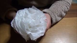 簡単！ティッシュペーパーでお花を作ろうpart1　paper flower