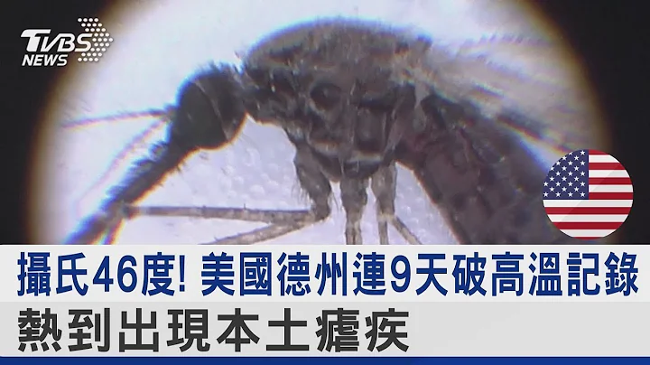 摄氏46度! 美国德州连9天破高温记录 热到出现本土疟疾｜TVBS新闻 - 天天要闻