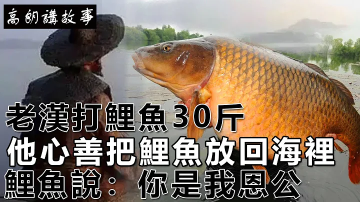 民間故事：老漢打鯉魚30斤，他心善把鯉魚放回海裡，鯉魚說：你是我恩公｜高朗講故事 - 天天要聞