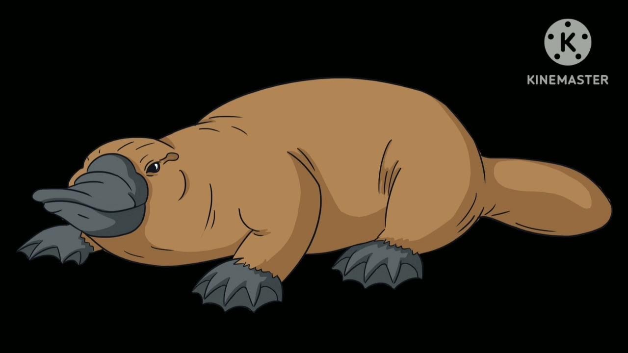 How Does Perry The Platypus Sound