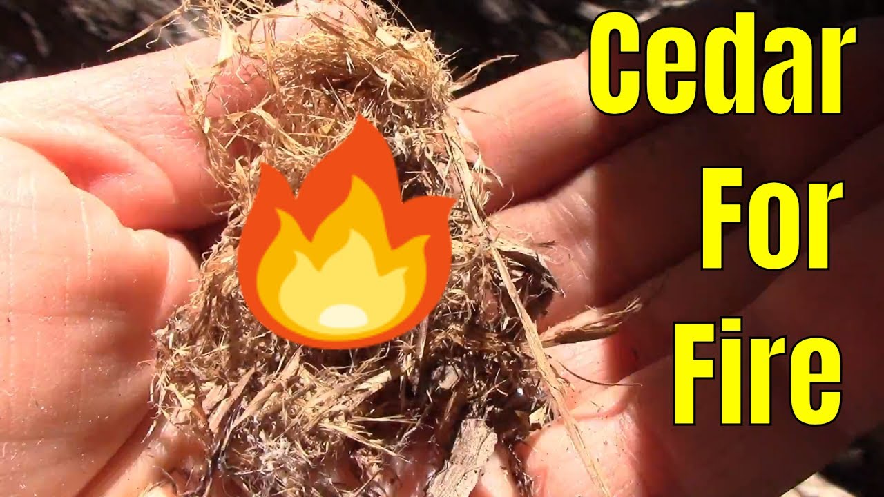 Cedar: The One Stop Fire Resource