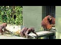 いつものメンバーが帰っていった後.../ After regular members went home...