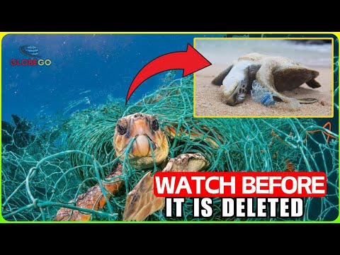 The OCEAN is DYING Faster Than We FEARED - Plastic is KILLING Everything | Documentary