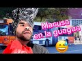 Macusa en la guagua 