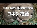 コキン物語 の動画、YouTube動画。