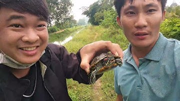 Dậy từ 4:00 sáng để câu cá .Câu được luôn cả rùa tai đỏ và muốn cá rô đồng nướng ngon nhất nách 😀