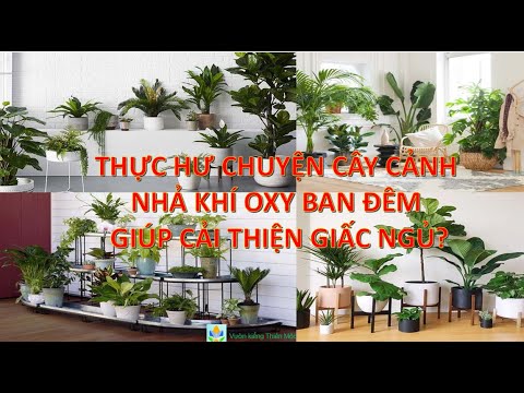 Video: Khí cacbonic có nhiệt độ sôi không?