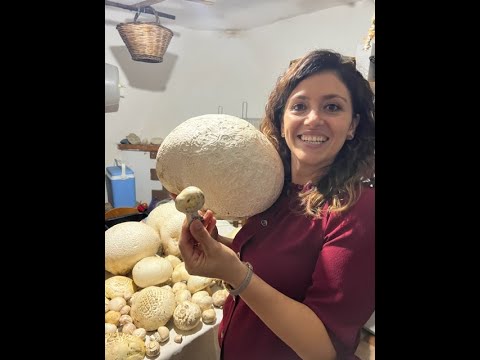 Video: Puoi mangiare i funghi primaverili?