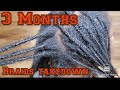 How I safely Take down 3 months old Braids (lots of NEWGROWTH) Tips to Taking down Box braids.