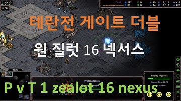 [Eng Sub] [PvT] The state-of-the-art fast expand build order (The new gate expansion 16 Nexus)