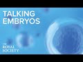 Talking embryos changing public perceptions of embryo research   the royal society