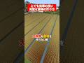 マイクラの完璧な農場の作り方解説 #マイクラ #マインクラフト #minecraft