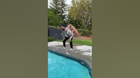 KARMA 🐶 #hannahstocking #anwar #shorts