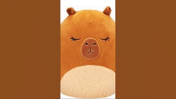 Sing along if you have that squishmallow! #squishmallows #song