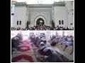 طالب طالب يايوه أسعدات مو و بوه
