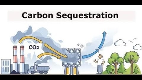 Carbon Capture and Sequestration