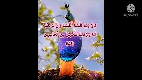 Al-Awar Suresi.     سورة الأعراف صفحة 153 مكررة بصوت الشيخ أيمن سويد