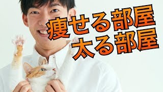 痩せる部屋の作り方がこちら