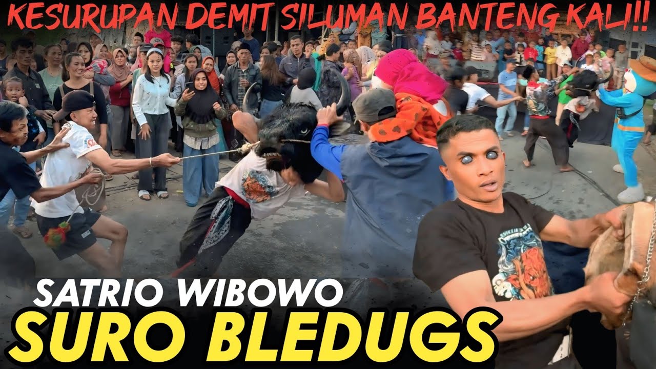 BANTENGAN MBEROT NGAMUK KERASUKAN DEMIT OBRAK ABRIK PENONTON EMAK EMAK!! SATRIO WIBOWO SURO BLEDUGS
