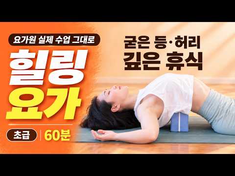 힐링 테라피 요가 | 굳은 등·허리 풀기 · 요가원 실전 수련 그대로 | [60분] Healing Yoga